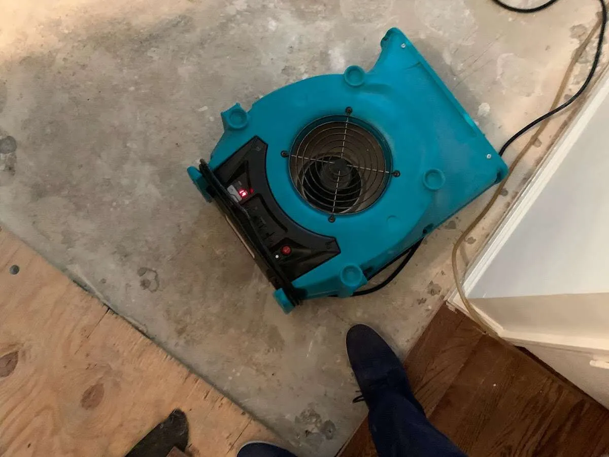Air mover drying subfloor during Commercial Water Damage Restoration in Mount Airy